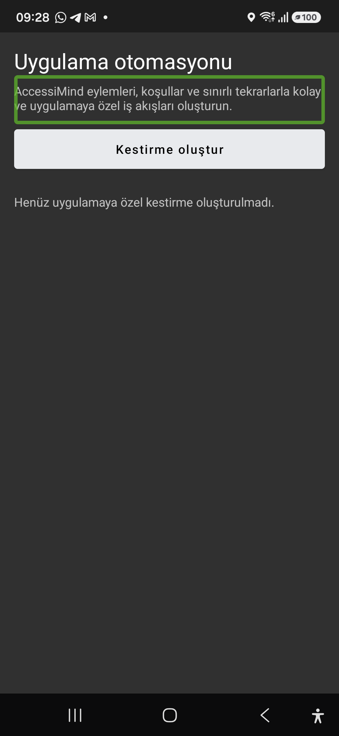 AccessiMind Reader Uygulama otomasyonu ekranı